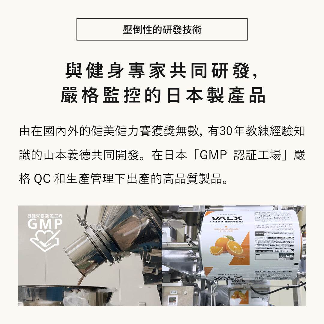 VALX 乳清蛋白粉 (抺茶) 1kg